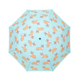 Parapluie Corgi - Coucou Suzette x Original Duckhead - Bleu Jolie Caen