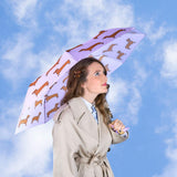 Parapluie Teckel - Coucou Suzette x Original Duckhead - Bleu Jolie Caen